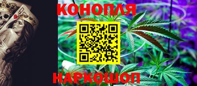 твердый Бийск