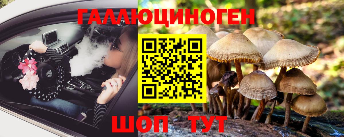 Галлюциногенные грибы Psilocybe  как найти закладки  Ипатово  Вход с VPN 